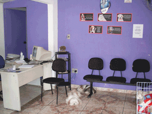 Recepção